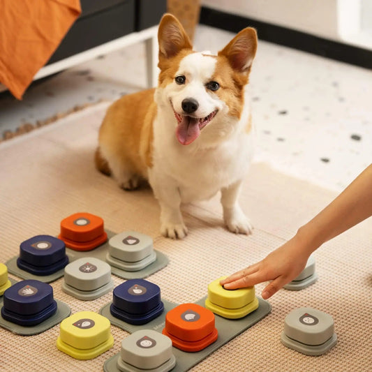 Boutons Parlants pour Chiens Heureux