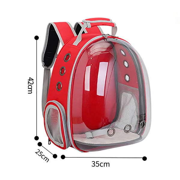 Capsule Backpack